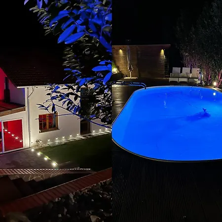 Villa Luxus-familienvilla Mit Privatem Pool Und Xxl Whirlpool, Kamin, Grill & Blick In Weinberge Bockenau